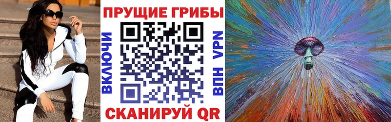 Псилоцибиновые грибы GOLDEN TEACHER Кедровый
